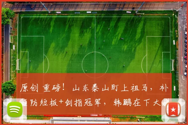 原创 重磅！山东泰山盯上祖马，补后防短板+剑指冠军，韩鹏在下大棋