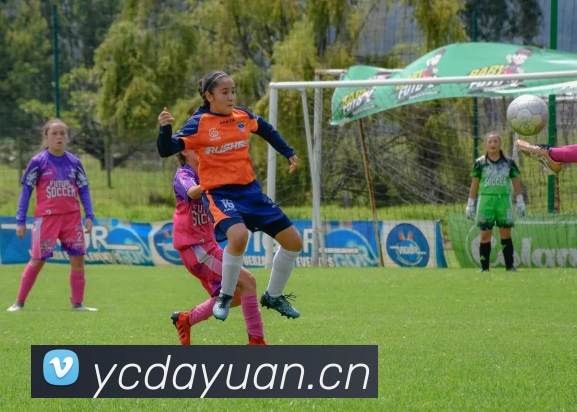 爱游戏全站app官方网站平台生态图