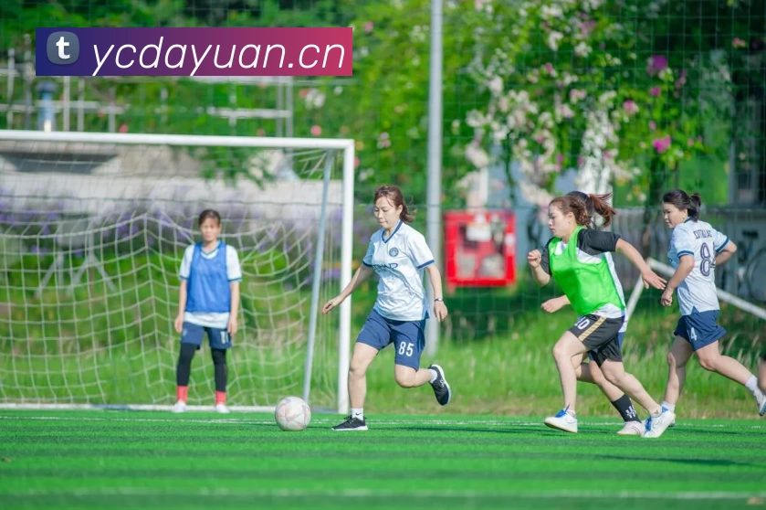 爱游戏全站app官方网站APP 封面图